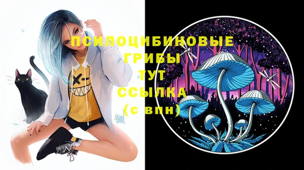 прущая мука Бронницы