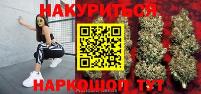 гашик Балашиха
