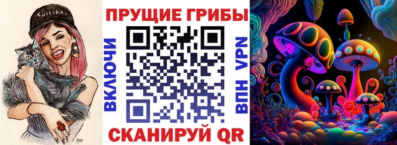 Псилоцибиновые грибы Psilocybe  закладки  Видное 