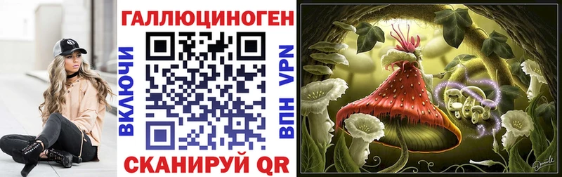 Галлюциногенные грибы Cubensis Видное