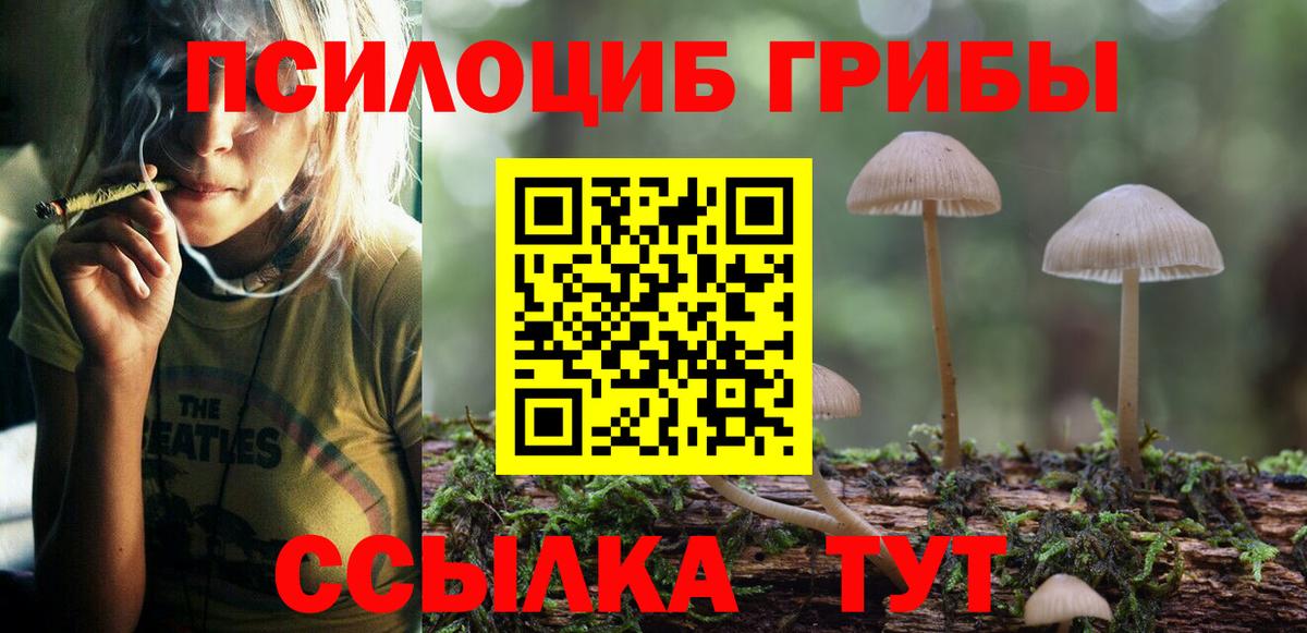 Галлюциногенные грибы мицелий  Вход с VPN  Видное 